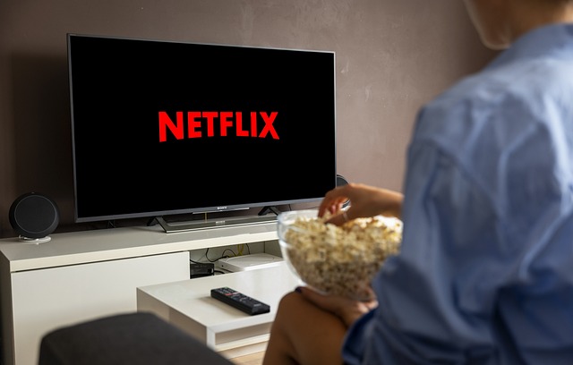 스트리밍 서비스가 영화 산업에 미치는 영향 1 netflix